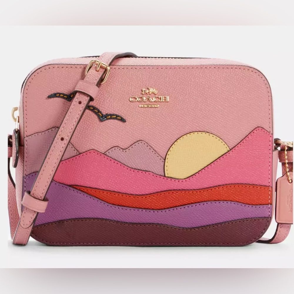 Coach mini camera bag mountain postcard 🌄